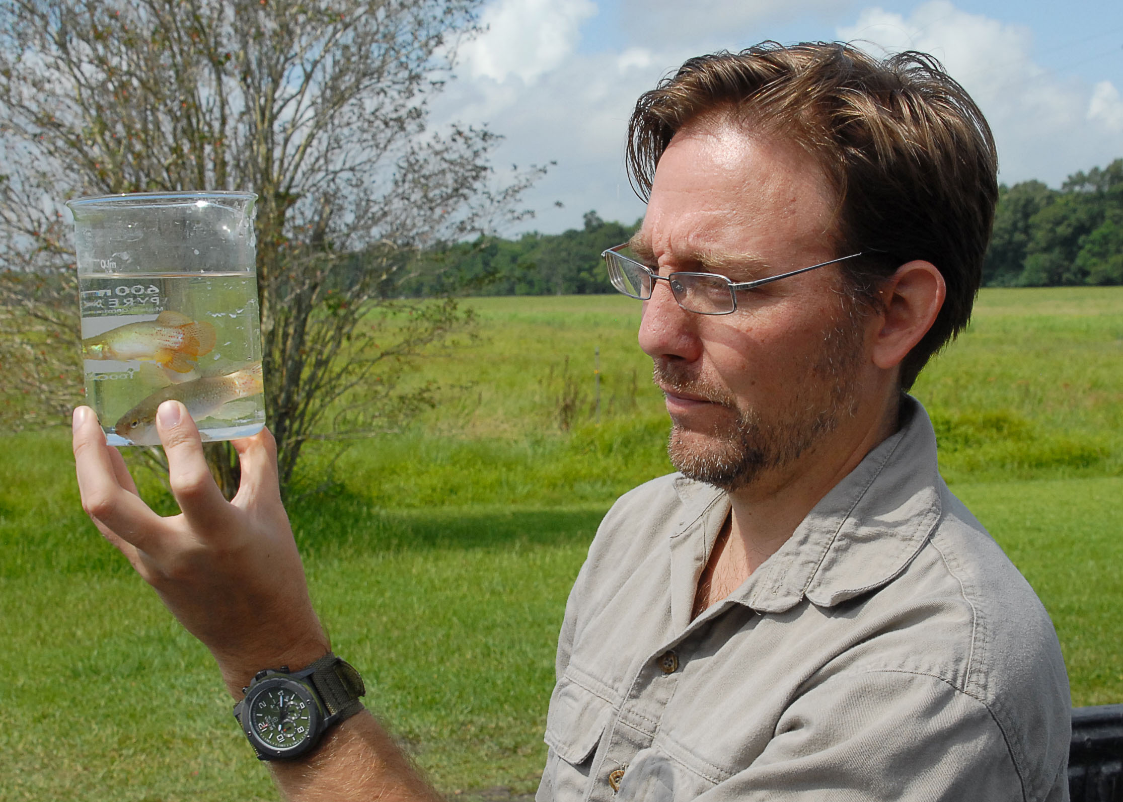 LSU AgCenter researcher looks to improve rearing of aquarium fish